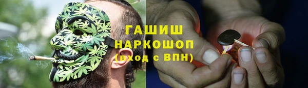 твердый Магас