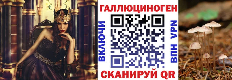 Купить закладки  Первоуральск  Псилоцибиновые грибы мицелий 