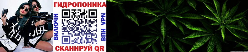 Шишки марихуана сатива  Купить  Первоуральск 